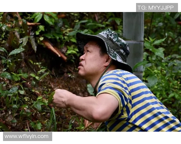 专访王敏：探寻足球领域成功背后的秘密与经验分享