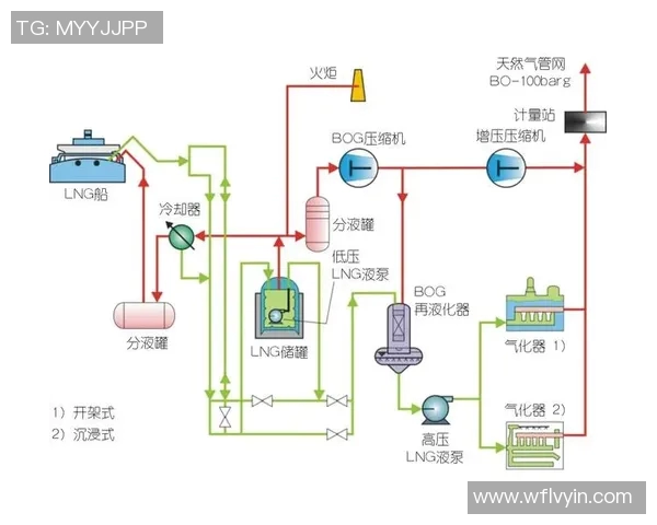 LNG战队意识提升之路：从团队配合到决策分析的全面探讨