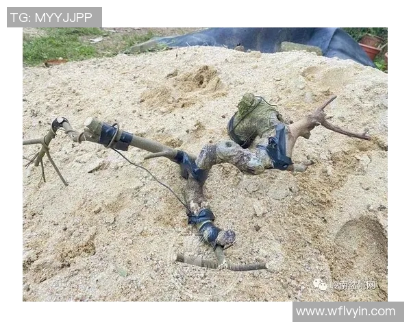 北京极限运动队表现分析：进攻策略与失误的深度探讨