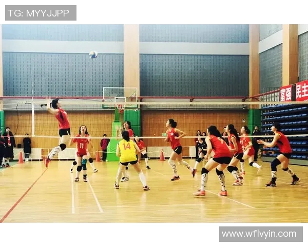 北京排球队最新排球比赛经验排行前十名分析与总结 北京排球队最新排球比赛经验排行前十名分析与总结