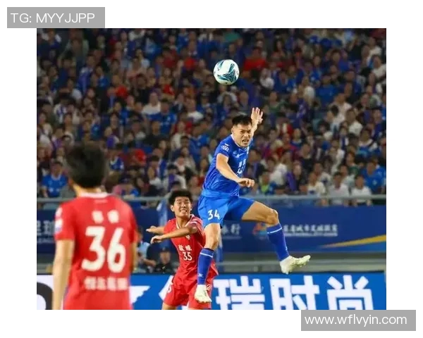 南京排球队实力引发热议球迷观点交锋与未来展望