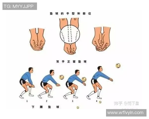 排球新手必看：提升灵活性的全面入门攻略与实用技巧分享