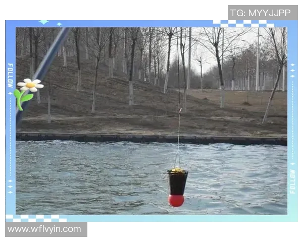 网球新手必看：轻松掌握基础战术与技巧的全面指南