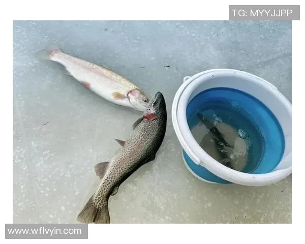 科学街舞训练新方法揭秘提升速度与技巧的全面指南 科学街舞训练新方法揭秘提升速度与技巧的全面指南