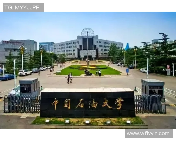 上海排球队的成长历程与辉煌成就全景揭秘