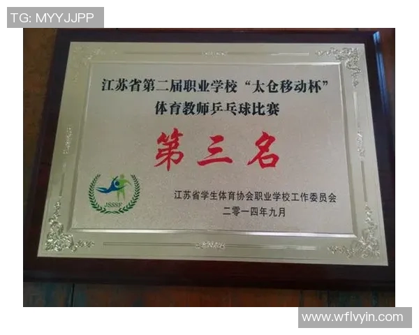 南京乒乓球队边路渗透革新探索与实践的深度分析与展望 南京乒乓球队边路渗透革新探索与实践的深度分析与展望