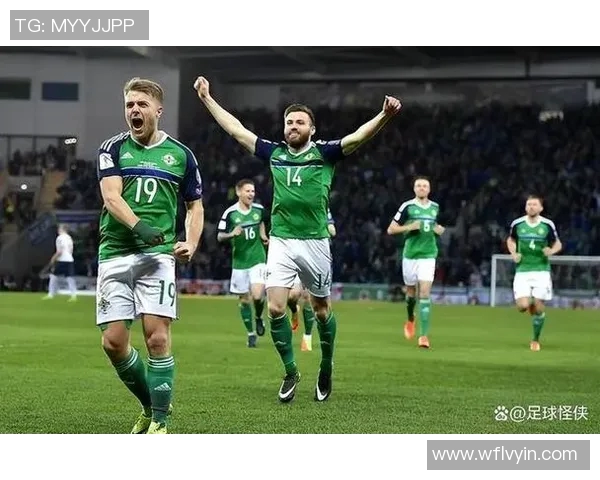 格鲁吉亚与爱尔兰足球对决谁将赢得胜利分析与预测