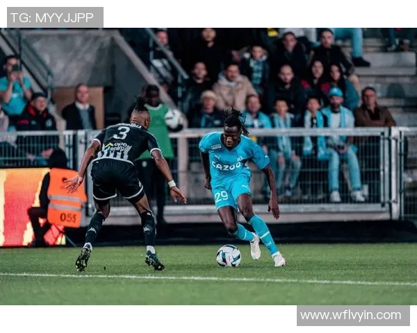 里尔与南特比赛数据分析揭示双方实力对比与战术特点