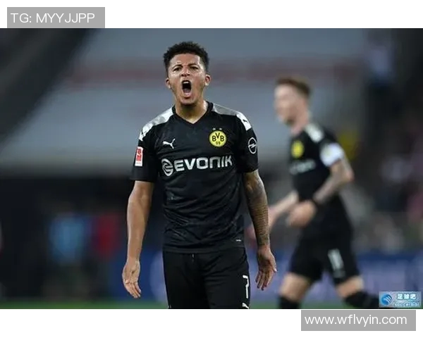 莱奥的传奇之路：从初出茅庐到足球巨星的辉煌历程