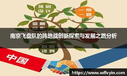 南京飞盘队的阵地战创新探索与发展之路分析