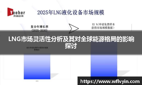 LNG市场灵活性分析及其对全球能源格局的影响探讨